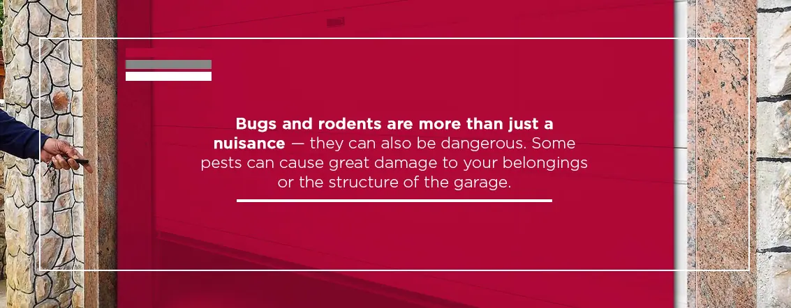 Why-Its-Important-to-Eliminate-Pests-in-Your-Garage