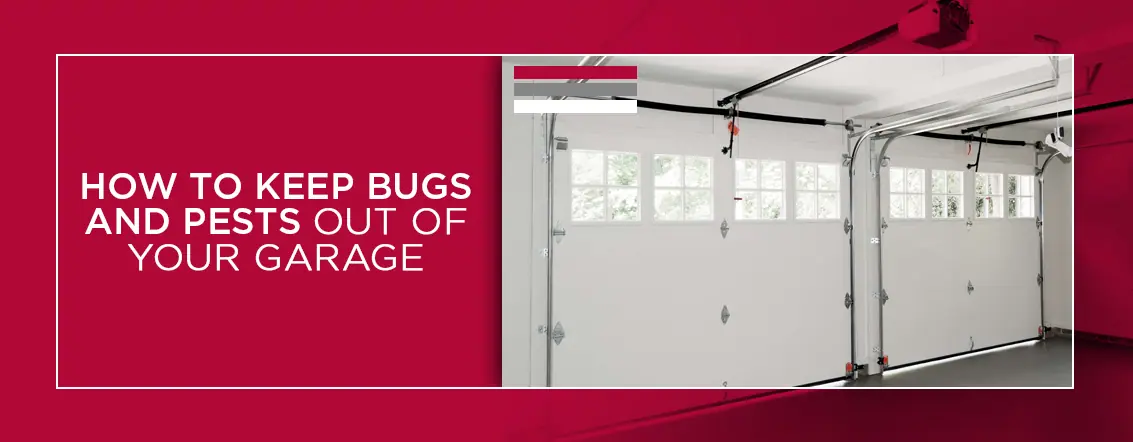 How-to-Keep-Bugs-and-Pests-out-of-Your-Garage