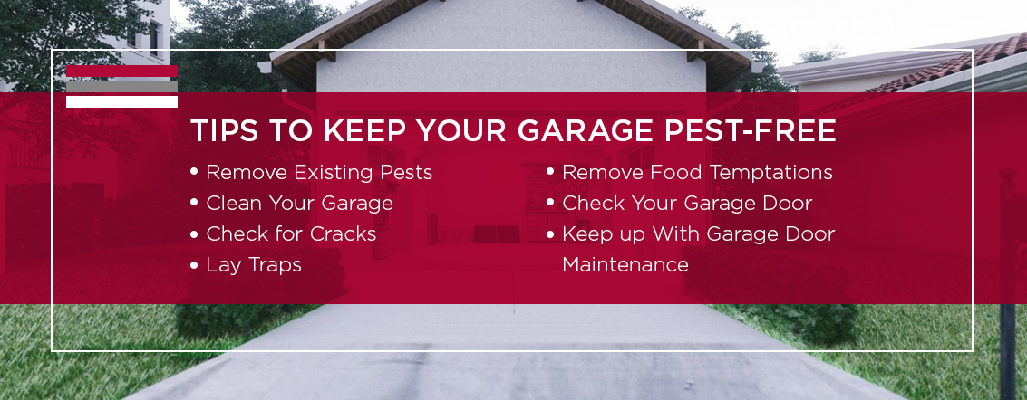 Tips-to-Keep-Your-Garage-Pest-Free