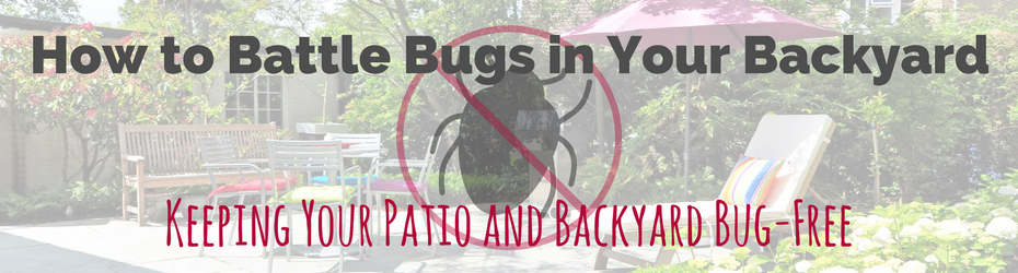 keep backyard patio bug free