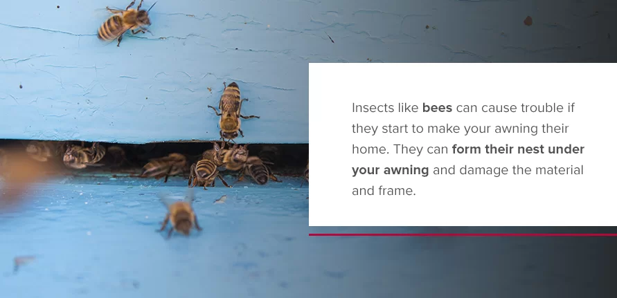 Insects like bees can cause trouble if they start to make your awning their home. They can form their nest under your awning and damage the material and frame.